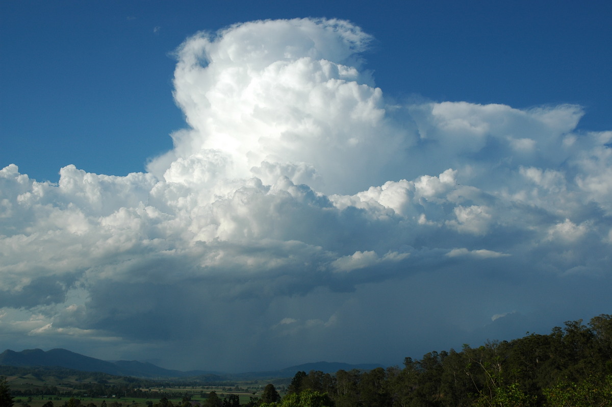 thunderstorm cumulonimbus_calvus : Kyogle, NSW   25 October 2005
