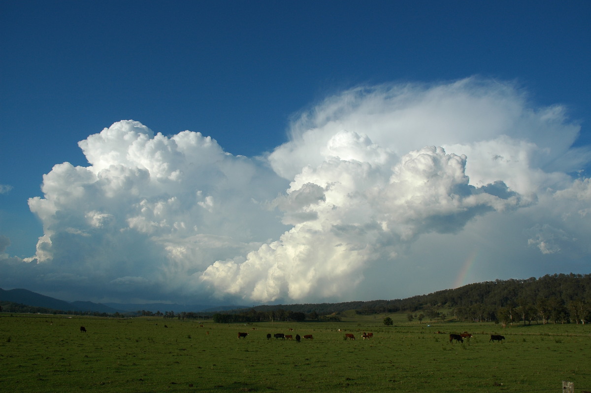 rainbow rainbow_pictures : Kyogle, NSW   25 October 2005