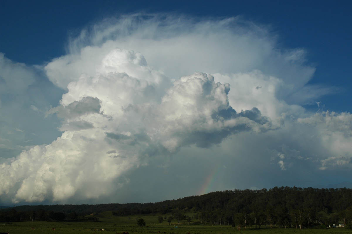 rainbow rainbow_pictures : Kyogle, NSW   25 October 2005