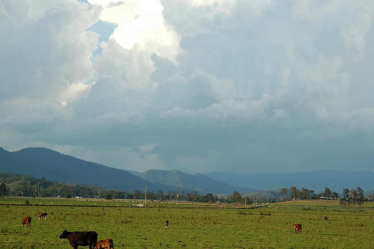 cumulonimbus thunderstorm_base : Kyogle, NSW   25 October 2005