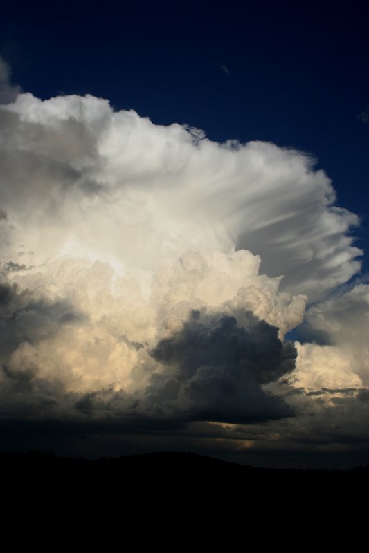 updraft thunderstorm_updrafts : near Nowendoc, NSW   27 October 2005