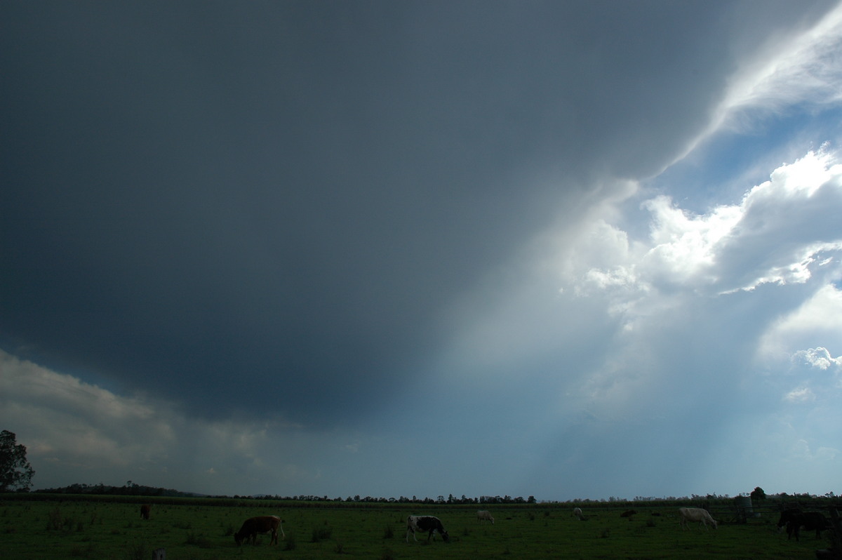 cumulonimbus thunderstorm_base : near Coraki, NSW   27 October 2005