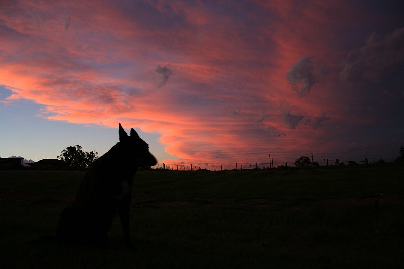 sunset sunset_pictures : Schofields, NSW   10 November 2005