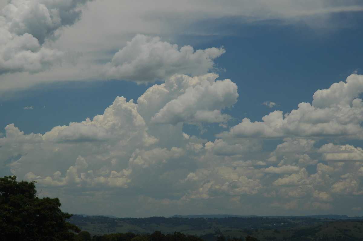 cumulus congestus : McLeans Ridges, NSW   20 November 2005