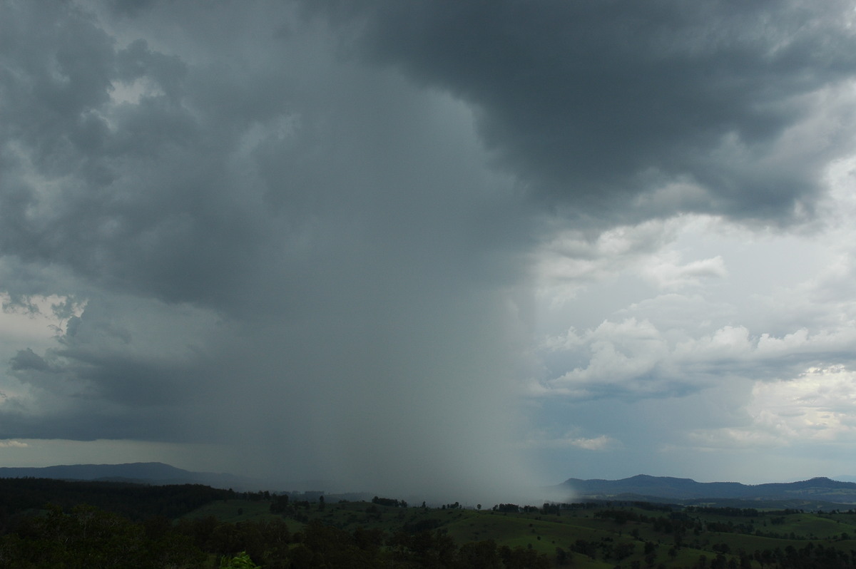 raincascade precipitation_cascade : Mallanganee NSW   20 November 2005