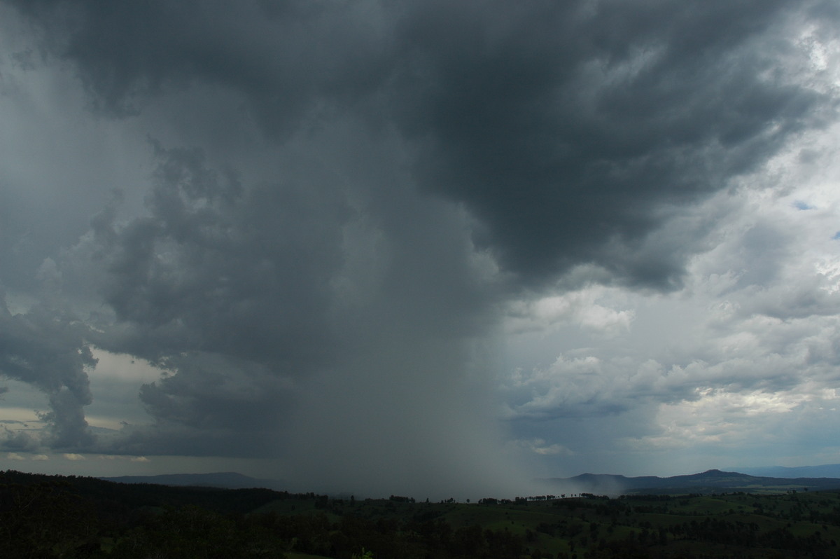 microburst micro_burst : Mallanganee NSW   20 November 2005