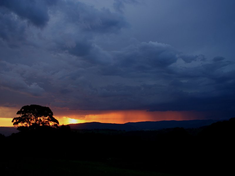 sunset sunset_pictures : Mt Lambie, NSW   22 November 2005