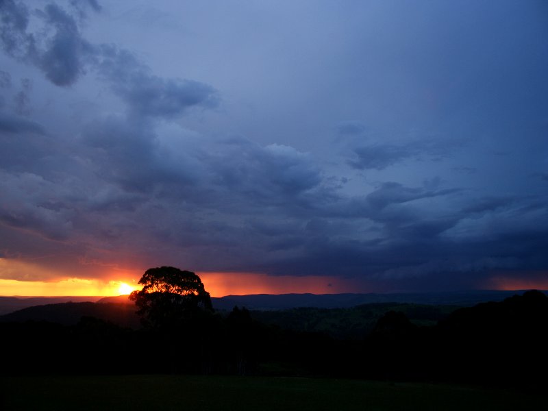 cumulonimbus thunderstorm_base : Mt Lambie, NSW   22 November 2005