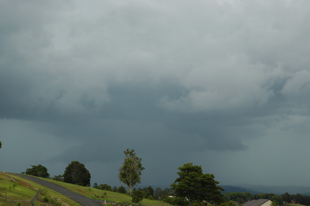 cumulonimbus thunderstorm_base : McLeans Ridges, NSW   23 November 2005