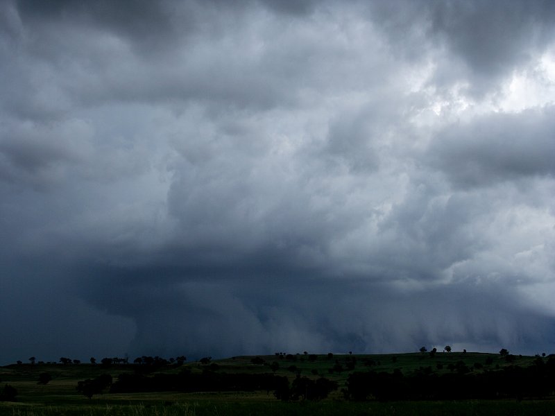 cumulonimbus thunderstorm_base : S of Coonabarabran, NSW   25 November 2005