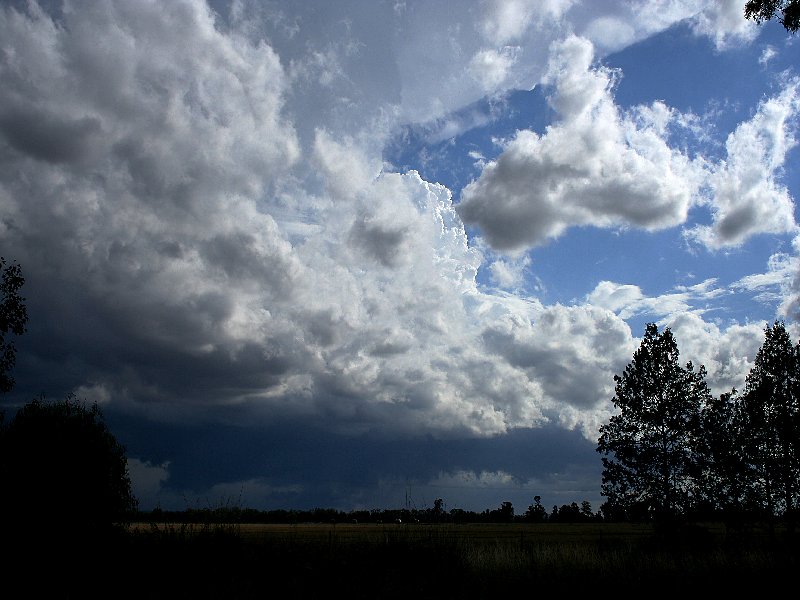 cumulonimbus thunderstorm_base : W of Barradine, NSW   25 November 2005