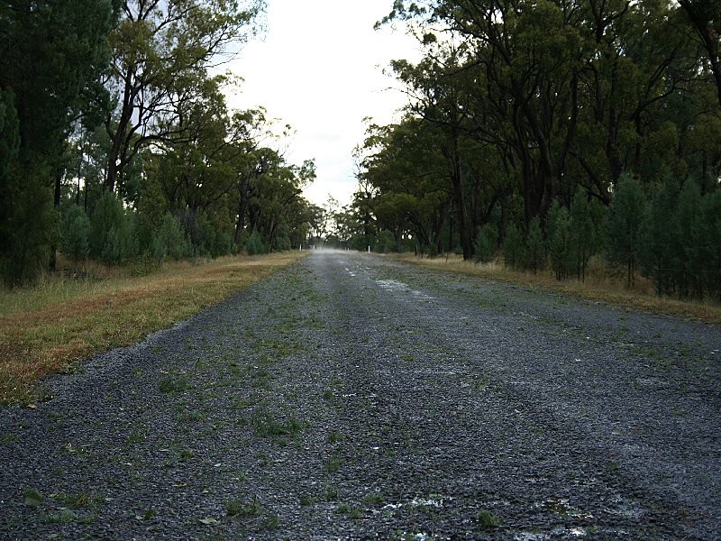 disasters storm_damage : W of Barradine, NSW   25 November 2005