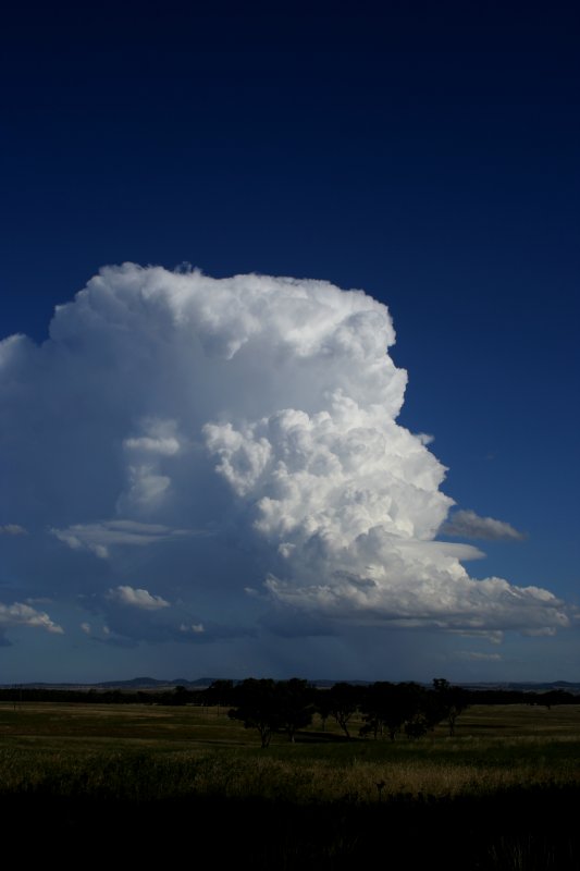 raincascade precipitation_cascade : E of Mendoran, NSW   26 November 2005