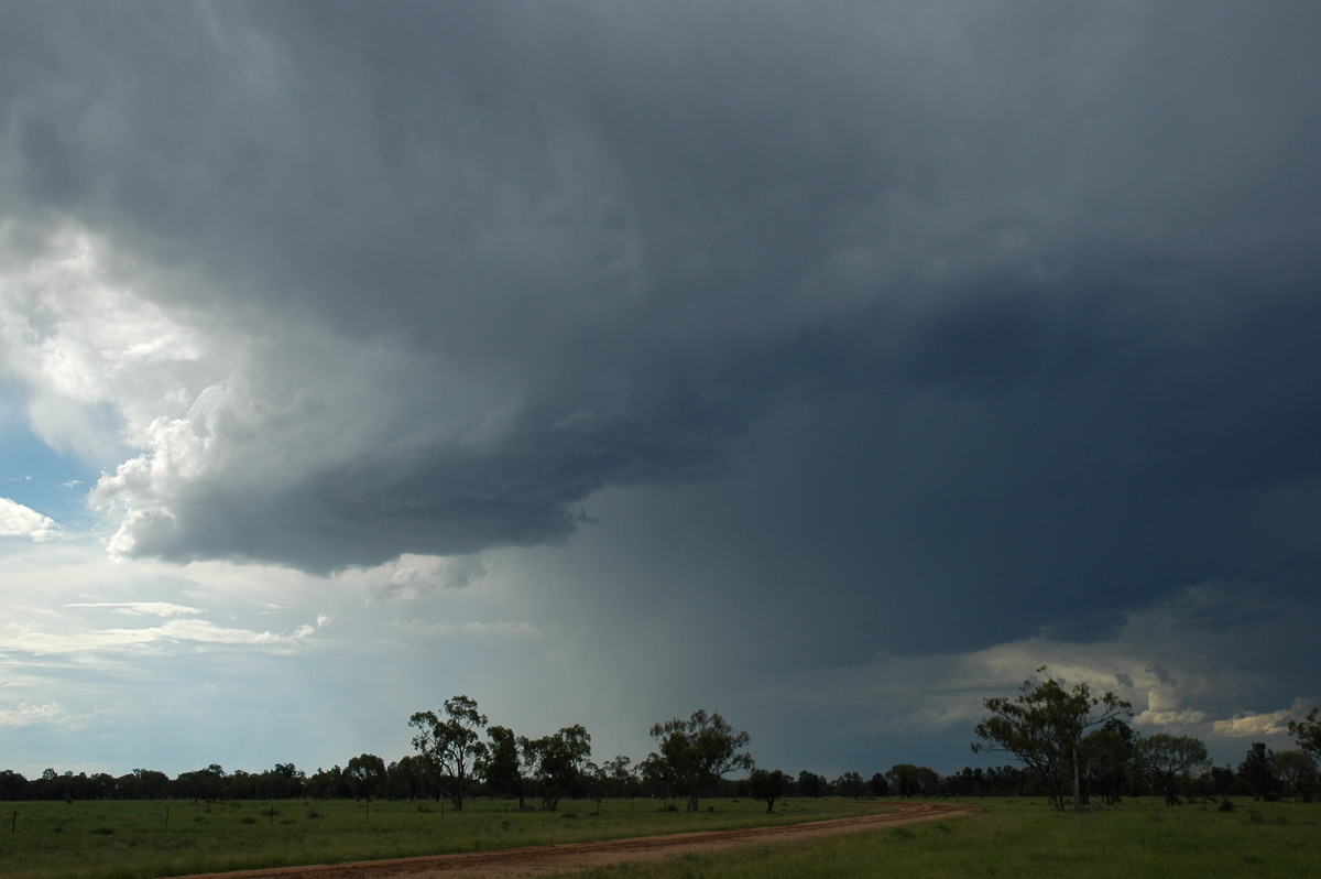 raincascade precipitation_cascade : Collarenabri, NSW   26 November 2005