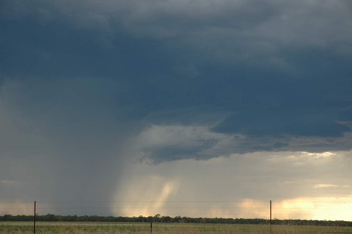 microburst micro_burst : Collarenabri, NSW   26 November 2005