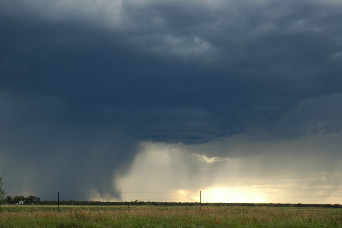 cumulonimbus thunderstorm_base : Collarenabri, NSW   26 November 2005