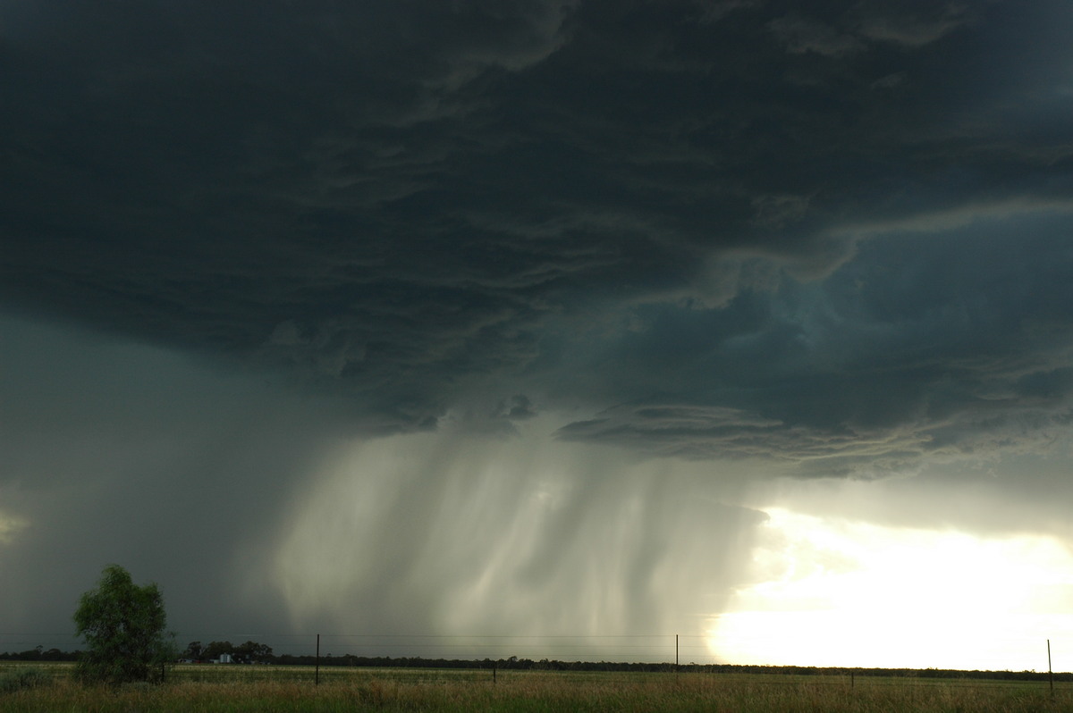 microburst micro_burst : Collarenabri, NSW   26 November 2005