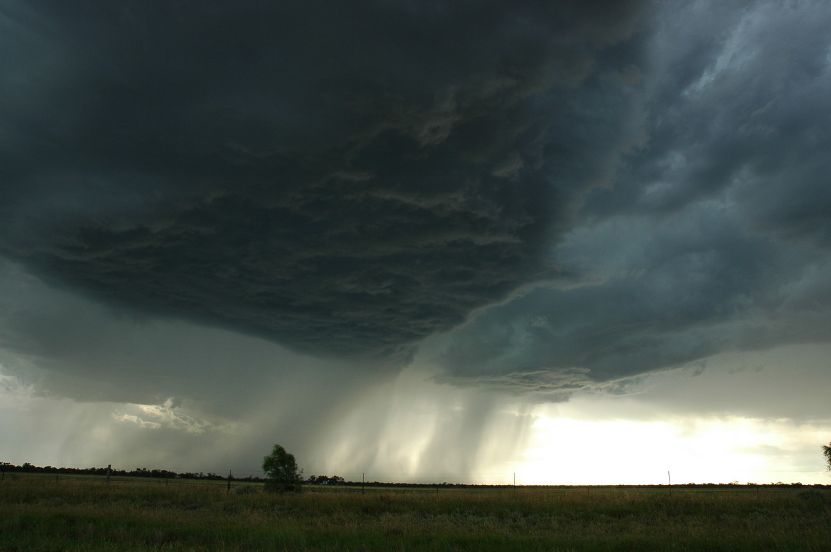 cumulonimbus thunderstorm_base : Collarenabri, NSW   26 November 2005