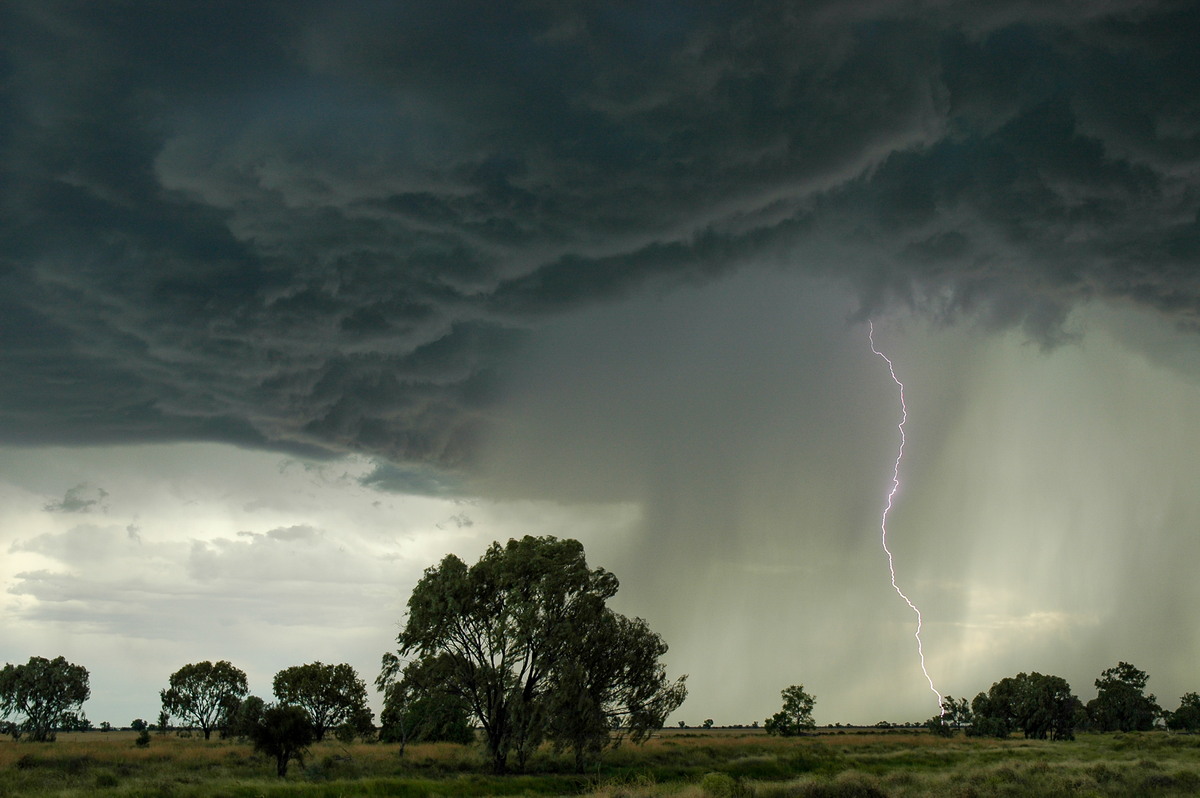 lightning lightning_bolts : Collarenabri, NSW   26 November 2005