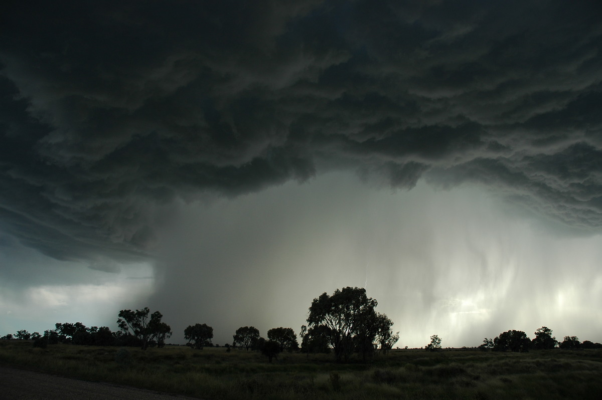 cumulonimbus thunderstorm_base : Collarenabri, NSW   26 November 2005