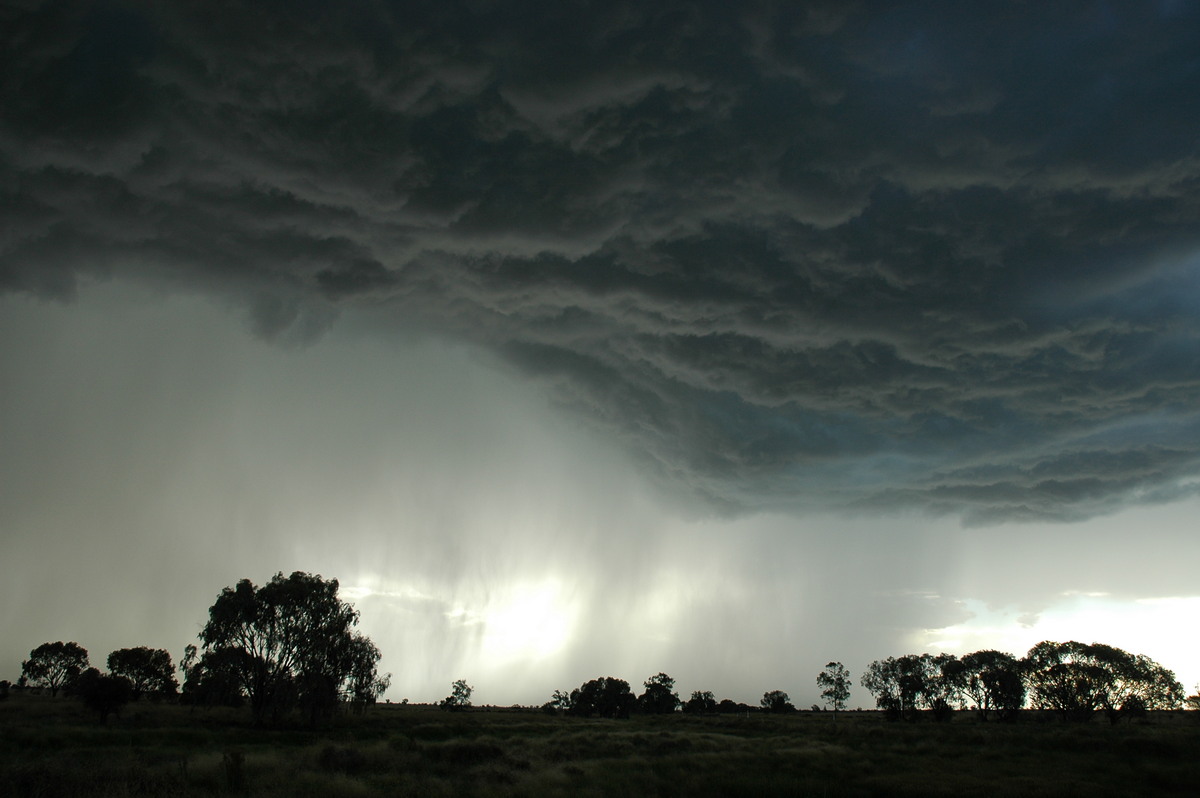 cumulonimbus thunderstorm_base : Collarenabri, NSW   26 November 2005