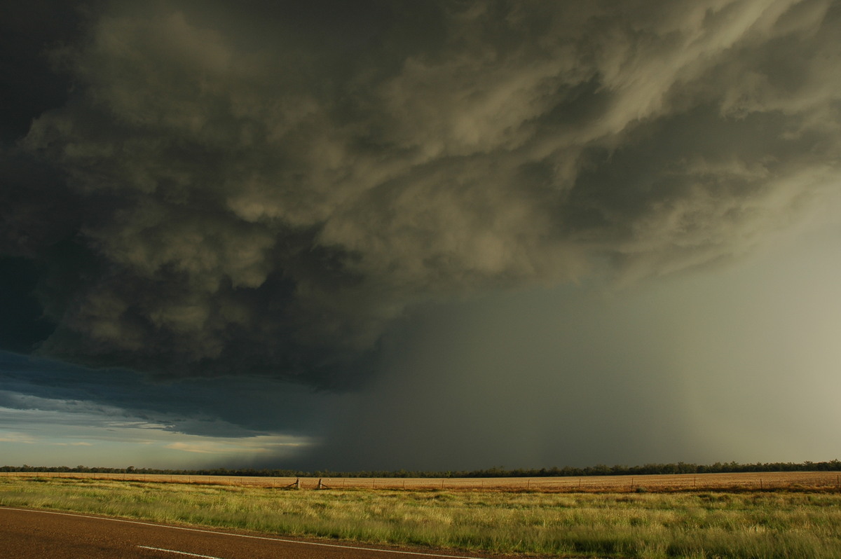 cumulonimbus thunderstorm_base : Collarenabri, NSW   26 November 2005