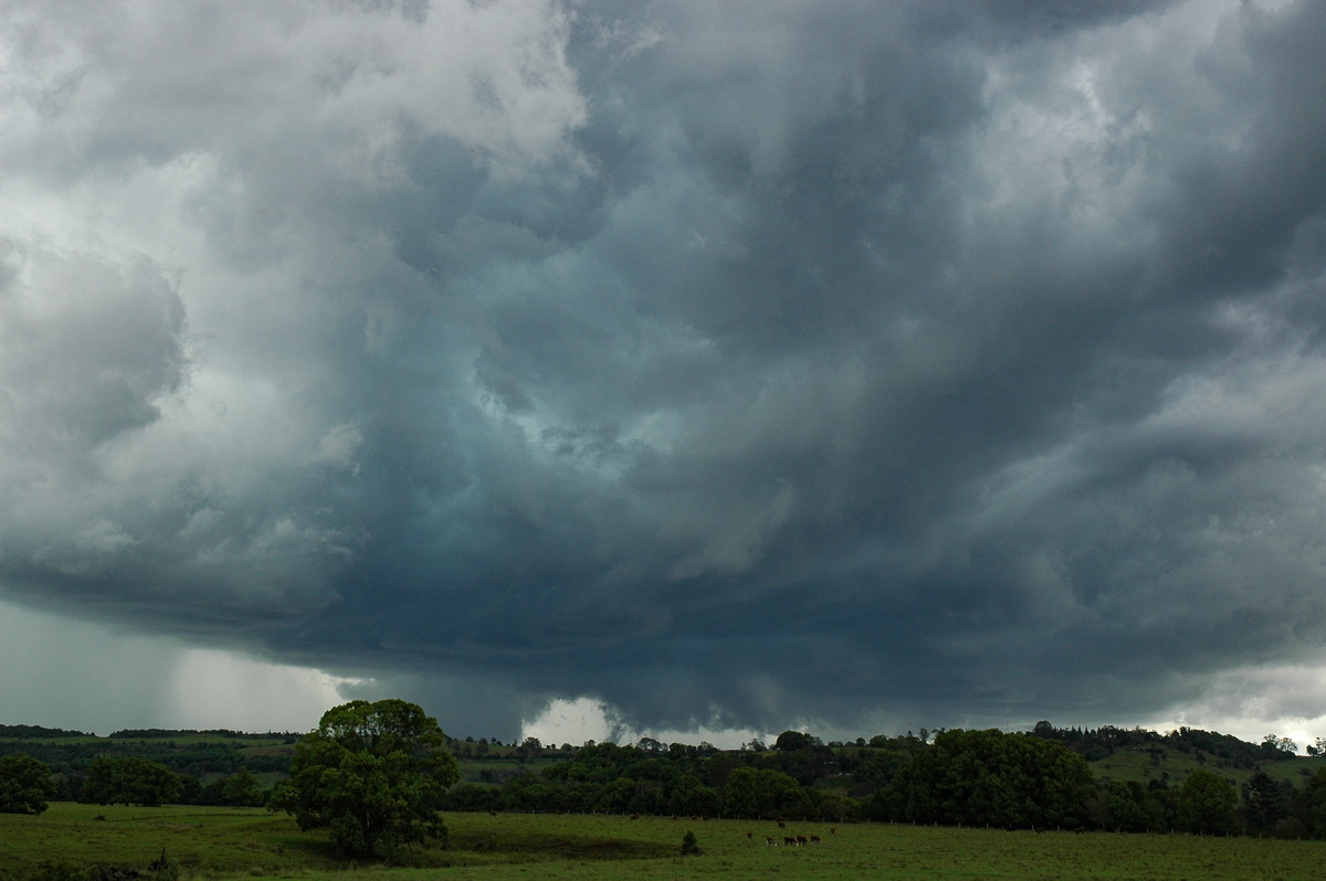 cumulonimbus thunderstorm_base : near Lismore, NSW   29 November 2005