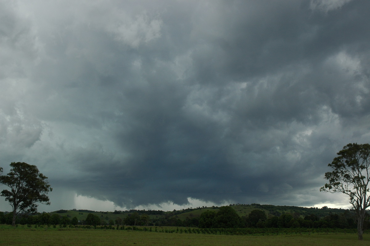 cumulonimbus thunderstorm_base : near Lismore, NSW   29 November 2005