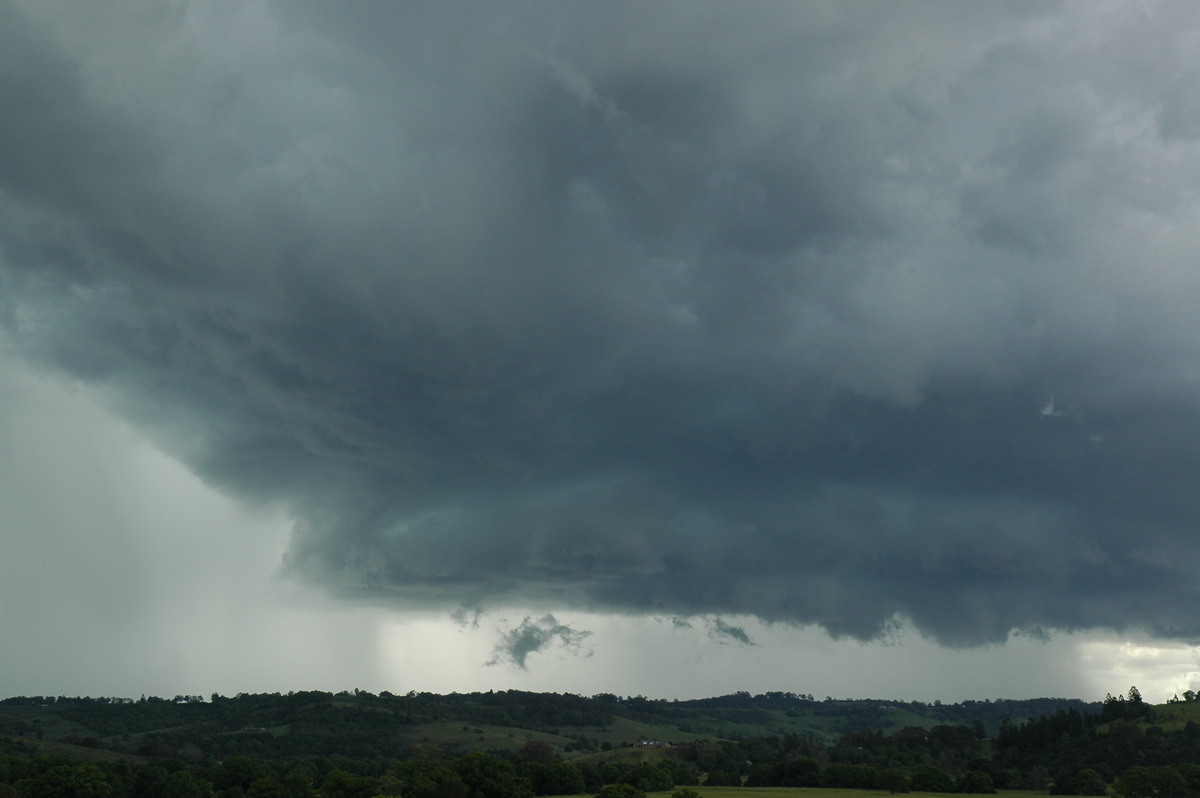 cumulonimbus thunderstorm_base : near Lismore, NSW   29 November 2005