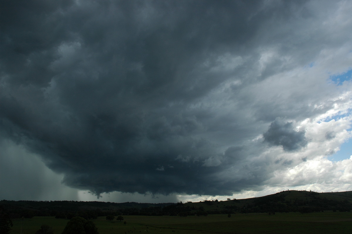 cumulonimbus thunderstorm_base : near Lismore, NSW   29 November 2005