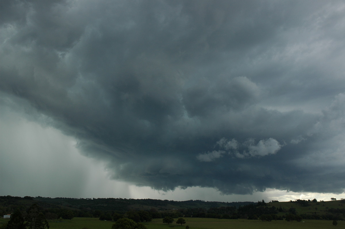 cumulonimbus thunderstorm_base : near Lismore, NSW   29 November 2005