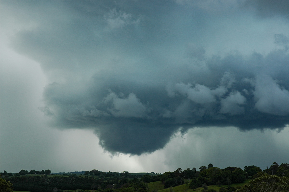 cumulonimbus thunderstorm_base : near Lismore, NSW   29 November 2005