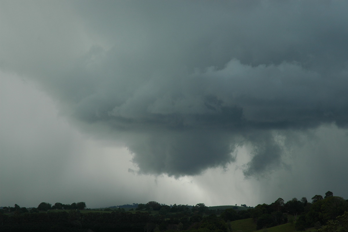 cumulonimbus thunderstorm_base : near Lismore, NSW   29 November 2005