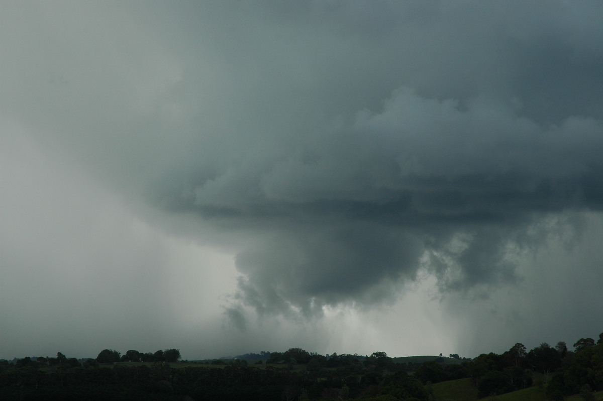 cumulonimbus thunderstorm_base : near Lismore, NSW   29 November 2005