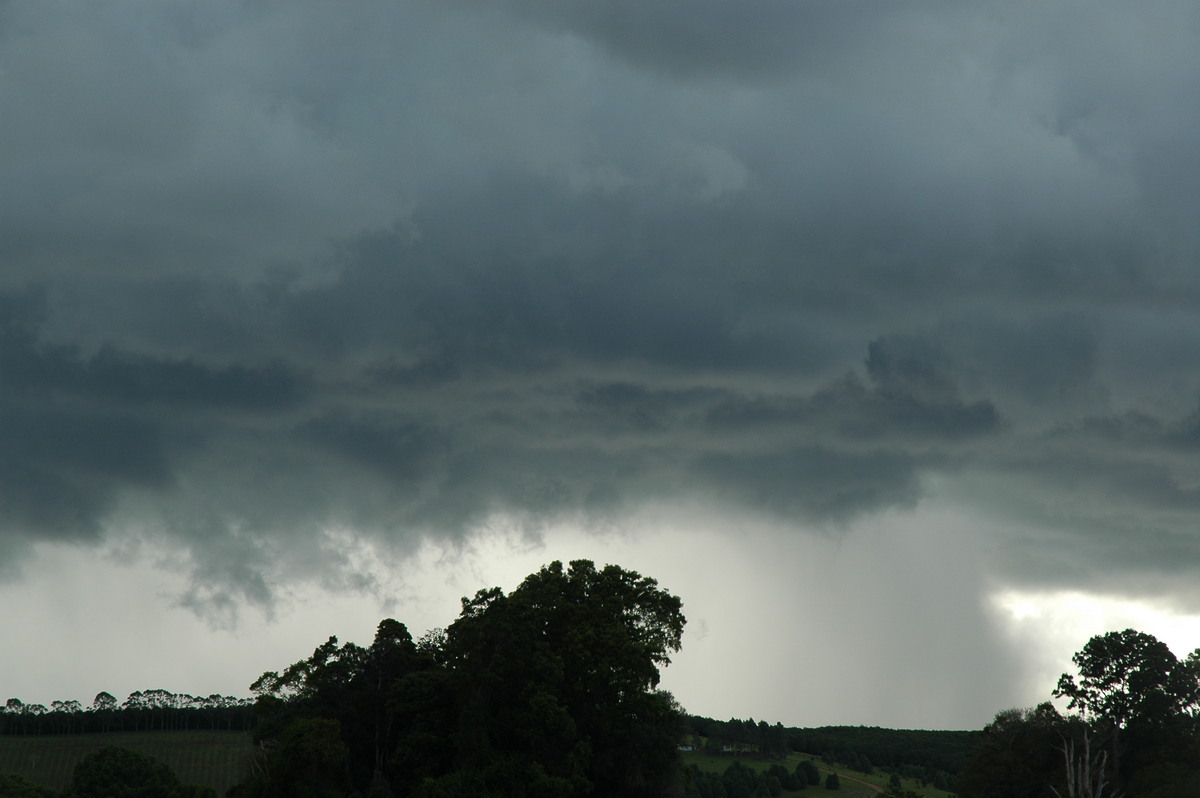 raincascade precipitation_cascade : near Lismore, NSW   29 November 2005