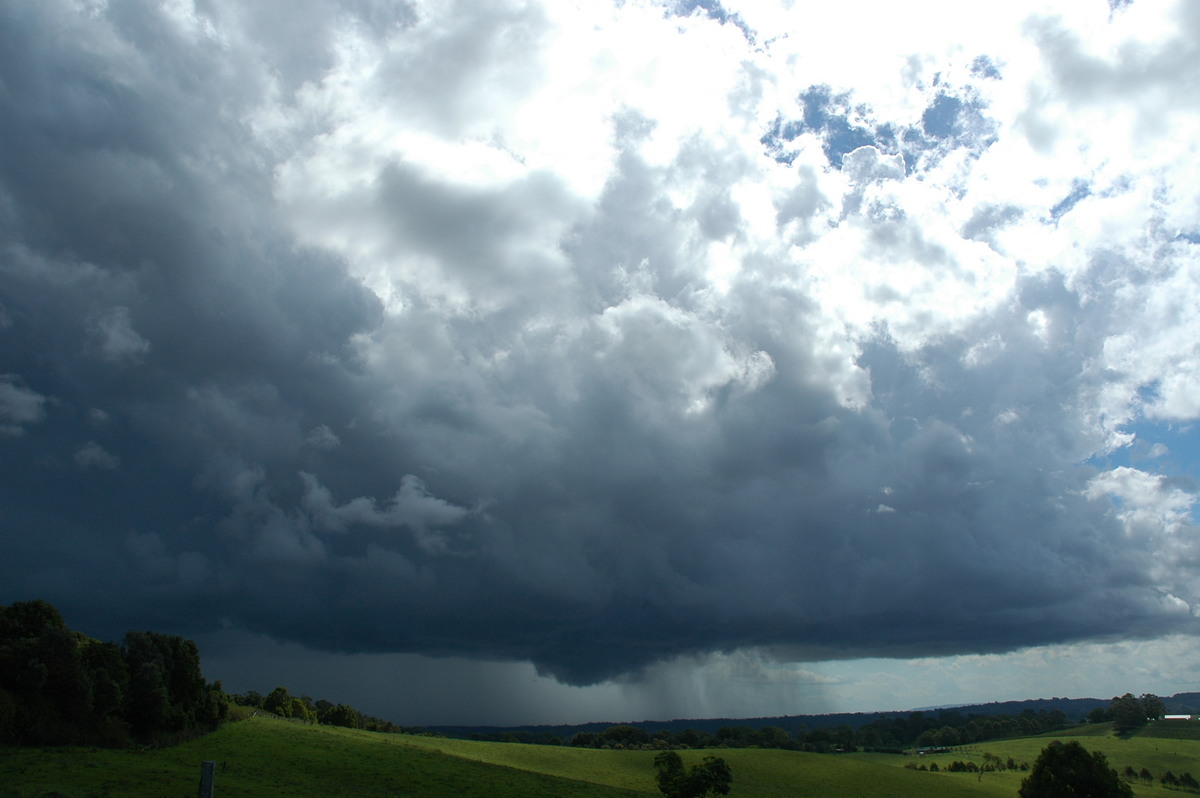 cumulonimbus thunderstorm_base : Saint Helena, NSW   29 November 2005