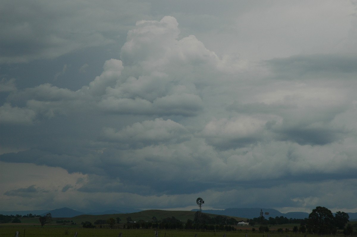 cumulus congestus : Casino, NSW   1 December 2005