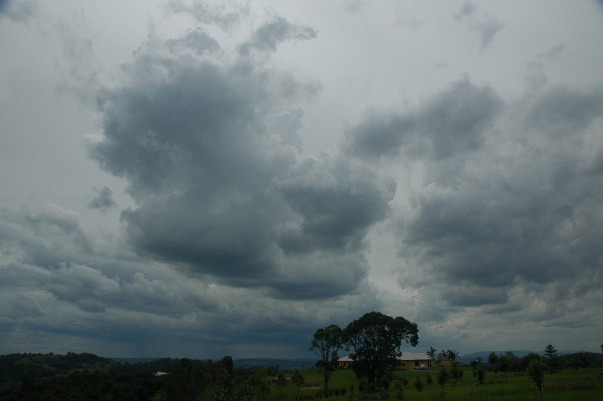 cumulus congestus : Tregeagle, NSW   2 December 2005