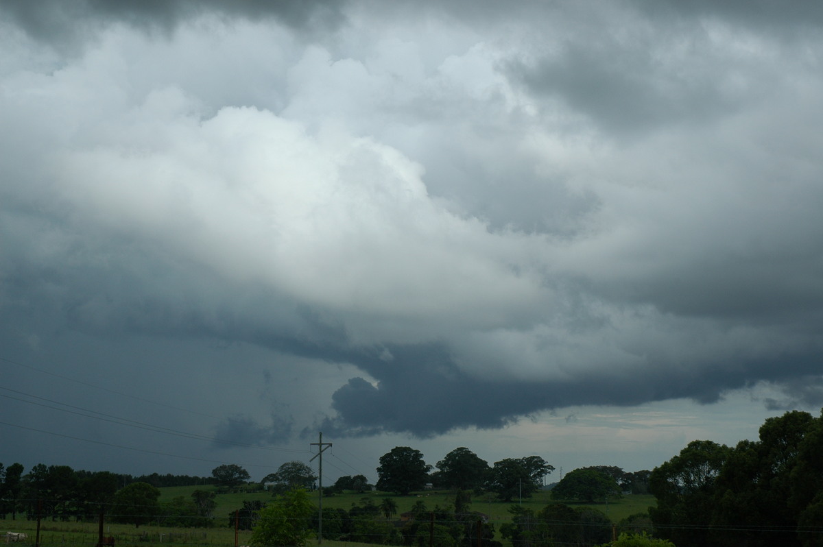 cumulonimbus thunderstorm_base : Tregeagle, NSW   2 December 2005