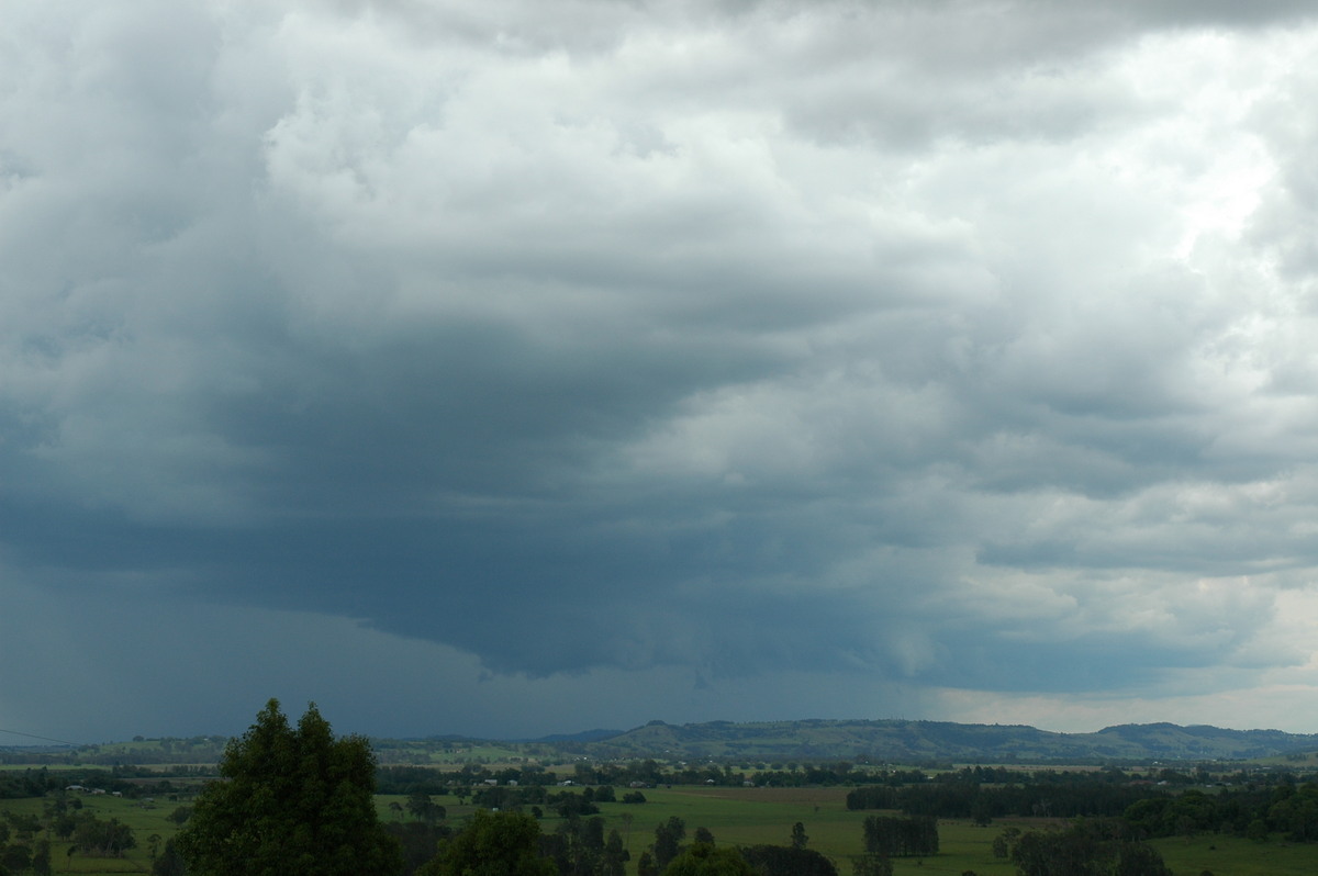 cumulonimbus thunderstorm_base : Tregeagle, NSW   2 December 2005