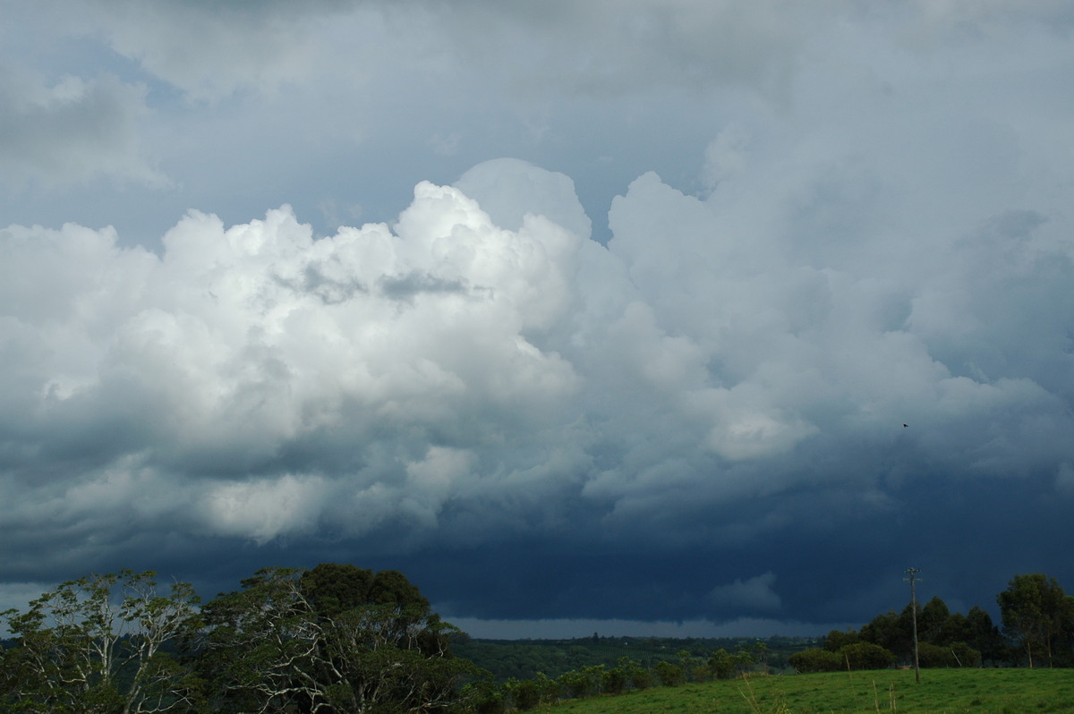 cumulus congestus : Tregeagle, NSW   2 December 2005