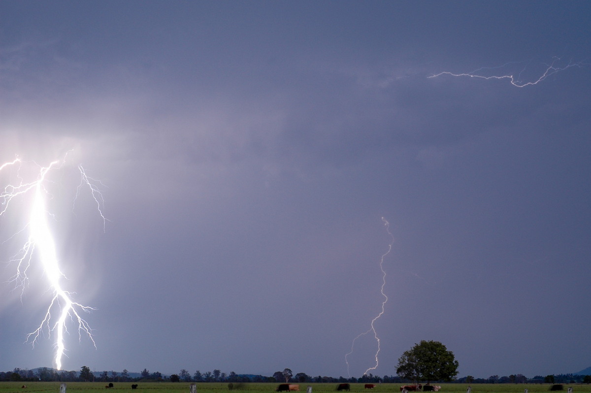 lightning lightning_bolts : near Casino, NSW   13 December 2005