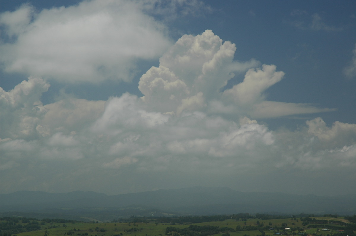 stratocumulus stratocumulus_cloud : McLeans Ridges, NSW   14 December 2005