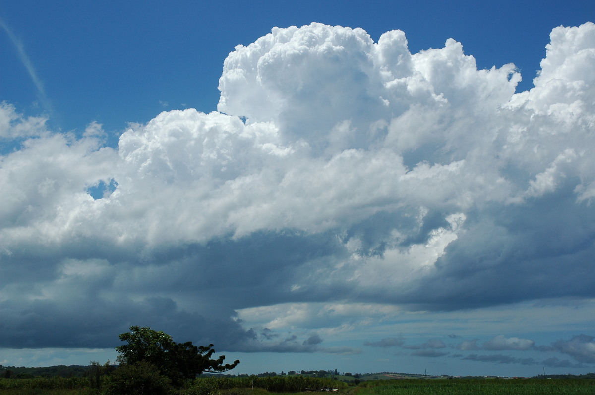 cumulus congestus : Ballina, NSW   17 December 2005