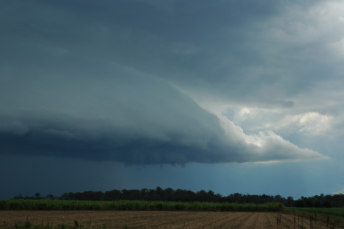 shelfcloud shelf_cloud : W of Broadwater, NSW   17 December 2005