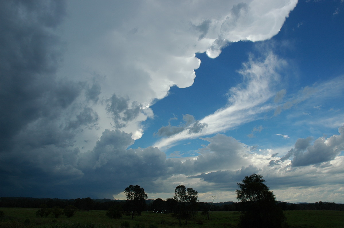 anvil thunderstorm_anvils : Ballina, NSW   17 December 2005