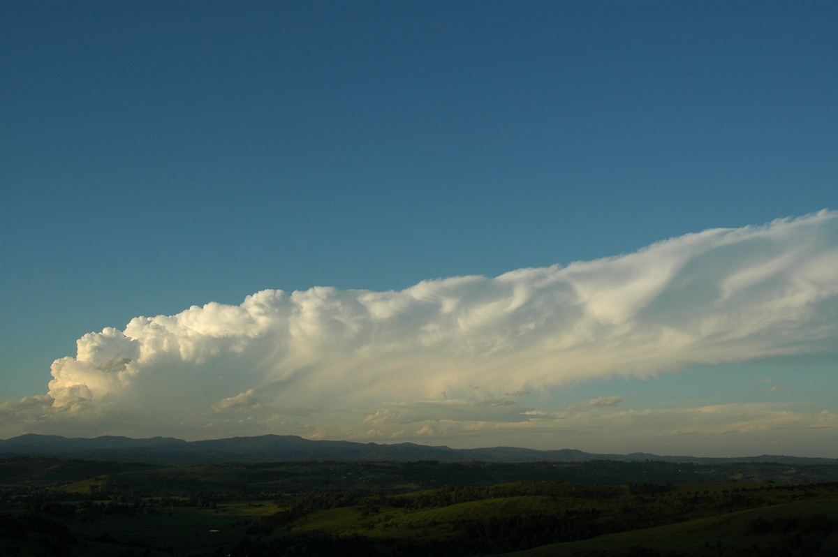 anvil thunderstorm_anvils : McLeans Ridges, NSW   17 December 2005