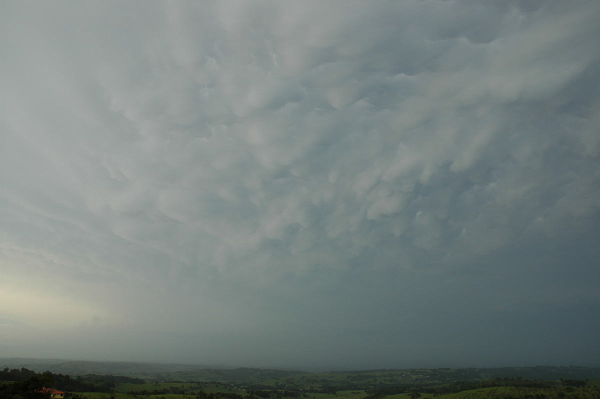 cumulonimbus supercell_thunderstorm : McLeans Ridges, NSW   25 December 2005