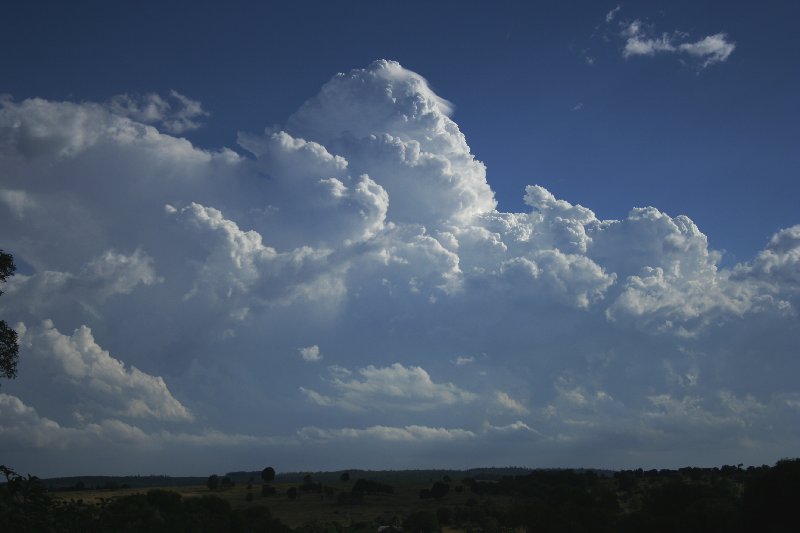 thunderstorm cumulonimbus_calvus : near Yarraman, Qld   26 December 2005