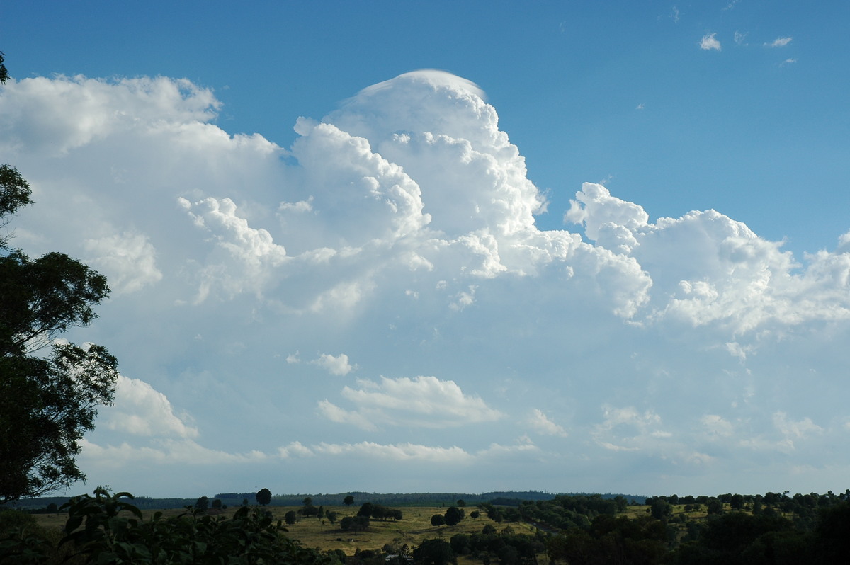 pileus pileus_cap_cloud : near Yarraman, QLD   26 December 2005